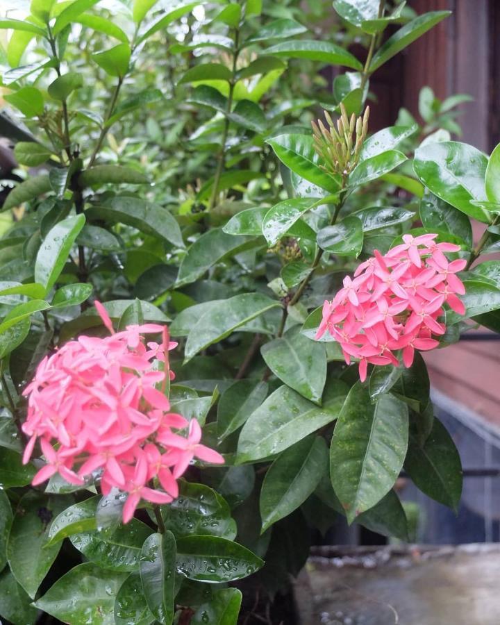 Iamwarin Mini Hostel Warin Chamrap Ngoại thất bức ảnh